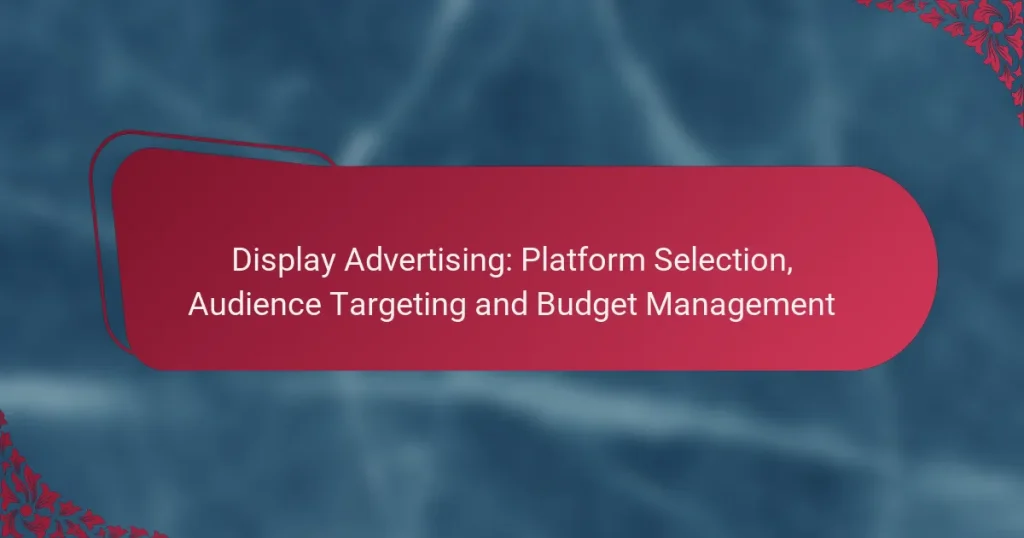 Display Advertising: Platform Selection, Audience Targeting and Budget Management