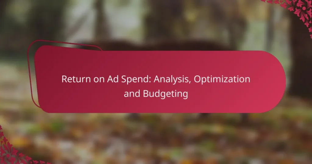 Return on Ad Spend: Analysis, Optimization and Budgeting