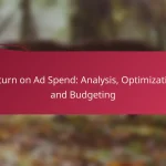 Return on Ad Spend: Analysis, Optimization and Budgeting