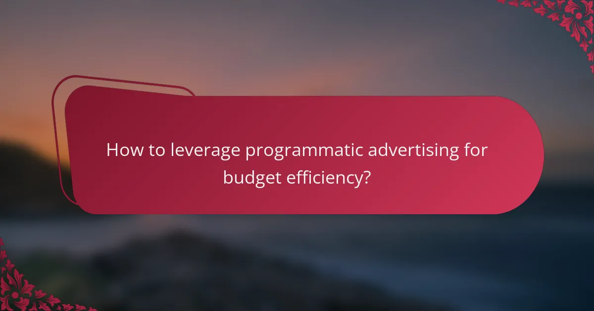 How to leverage programmatic advertising for budget efficiency?