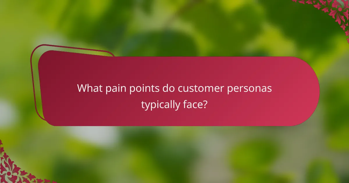 What pain points do customer personas typically face?