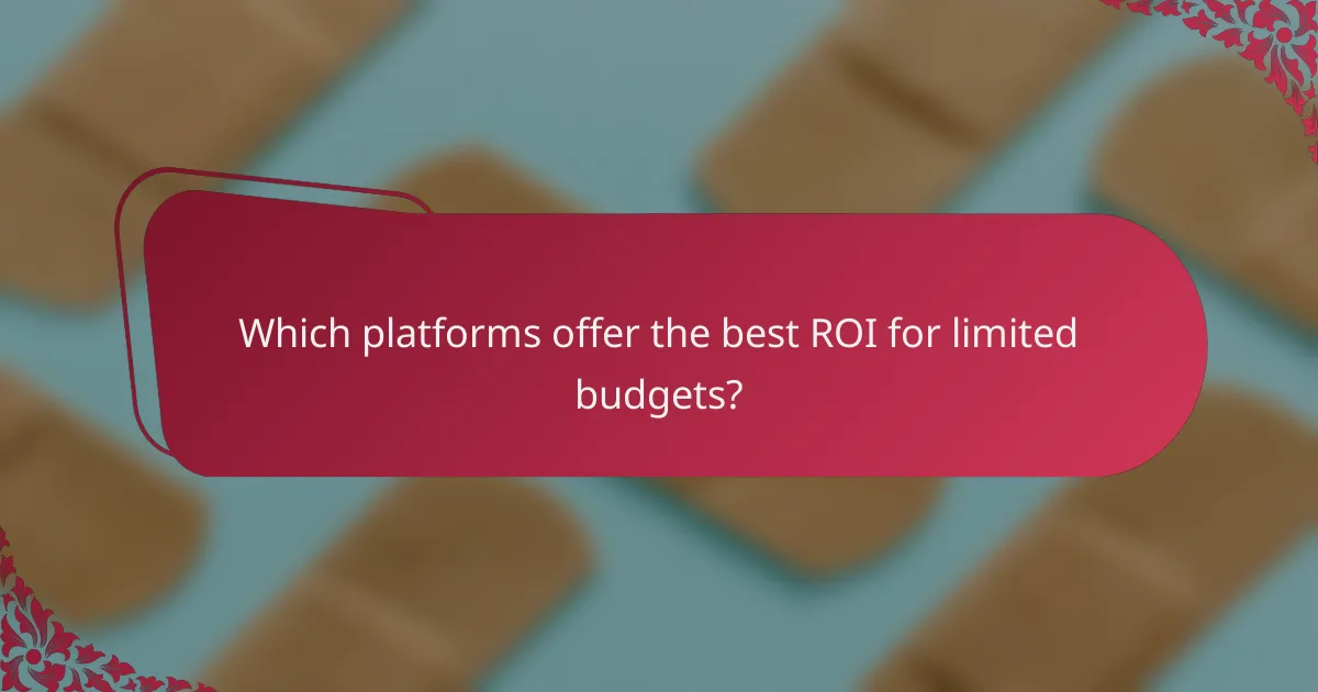 Which platforms offer the best ROI for limited budgets?